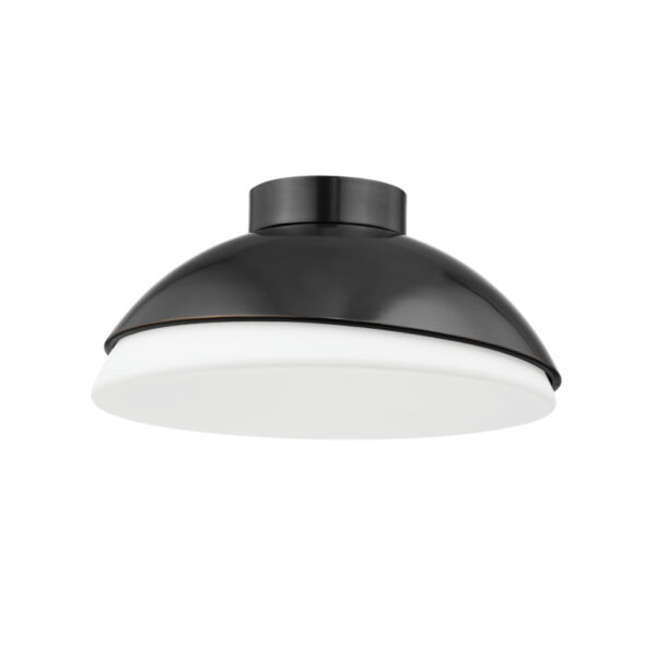 2 LIGHT FLUSH MOUNT 6815 OB