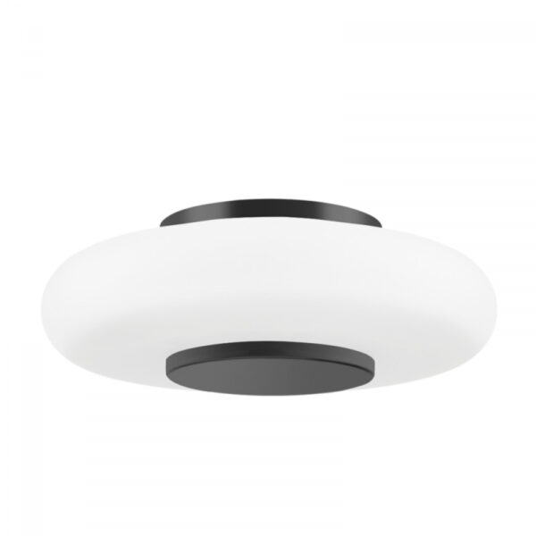 1 LIGHT FLUSH MOUNT PI1896501 BLNK