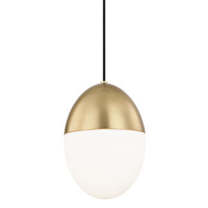 Mitzi by Hudson Valley Lighting Orion Pendant H206701L AGB