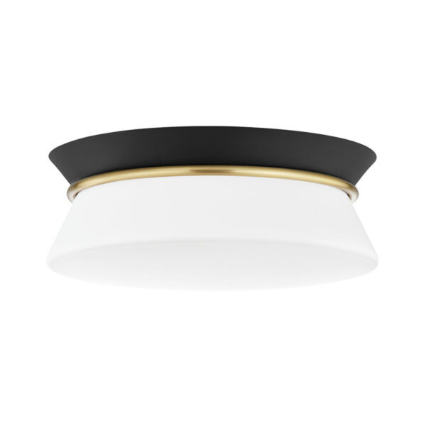 Mitzi by Hudson Valley Lighting Cath Flush Mount H425502 AGB BK