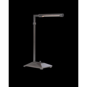 Currey Autrand Bronze Desk Lamp 6000 0948