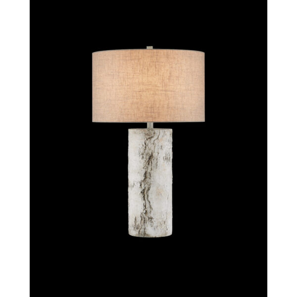 Currey Faux Birch Table Lamp 6000 0979