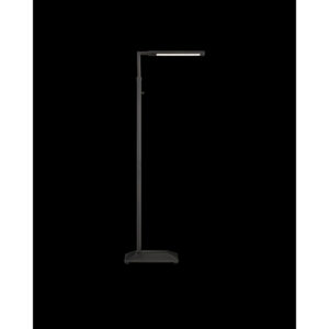 Currey Autrand Bronze Floor Lamp 8000 0156