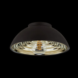 Troy Eclipse Flush Mount C3712 SBK