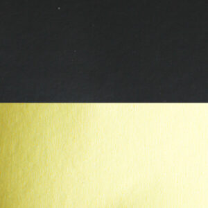 Modified Empire Hardback Lampshade - Black Parchment with soft gold back