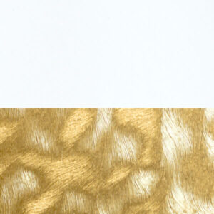 Hexagon Hardback Lampshade - White Parchment with gold pony hair back